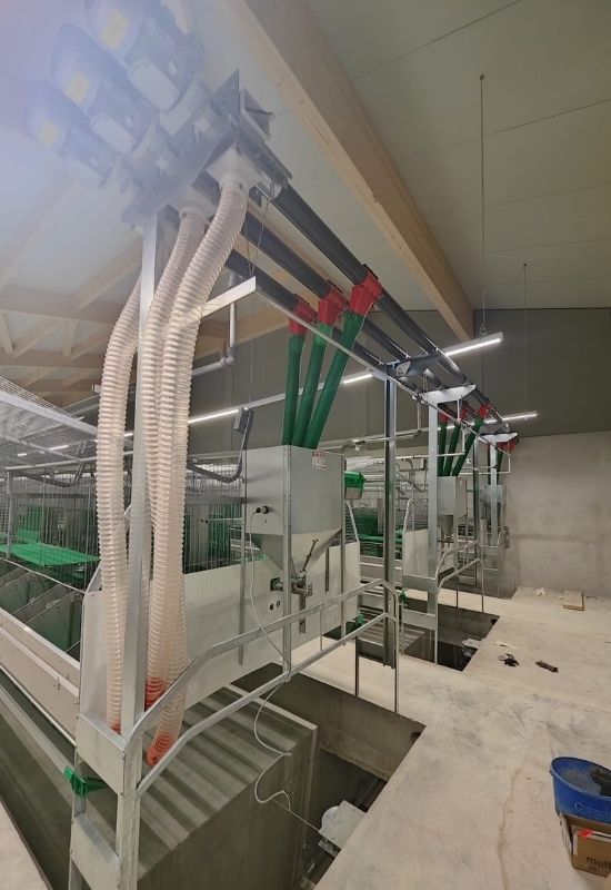 Progetto germania gallery (5)